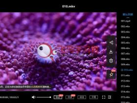 4K超清海底世界短视频素材100部下载